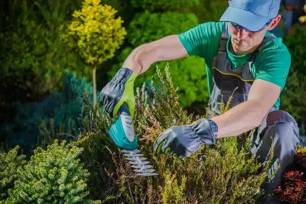landscaping services Vineyard Haven